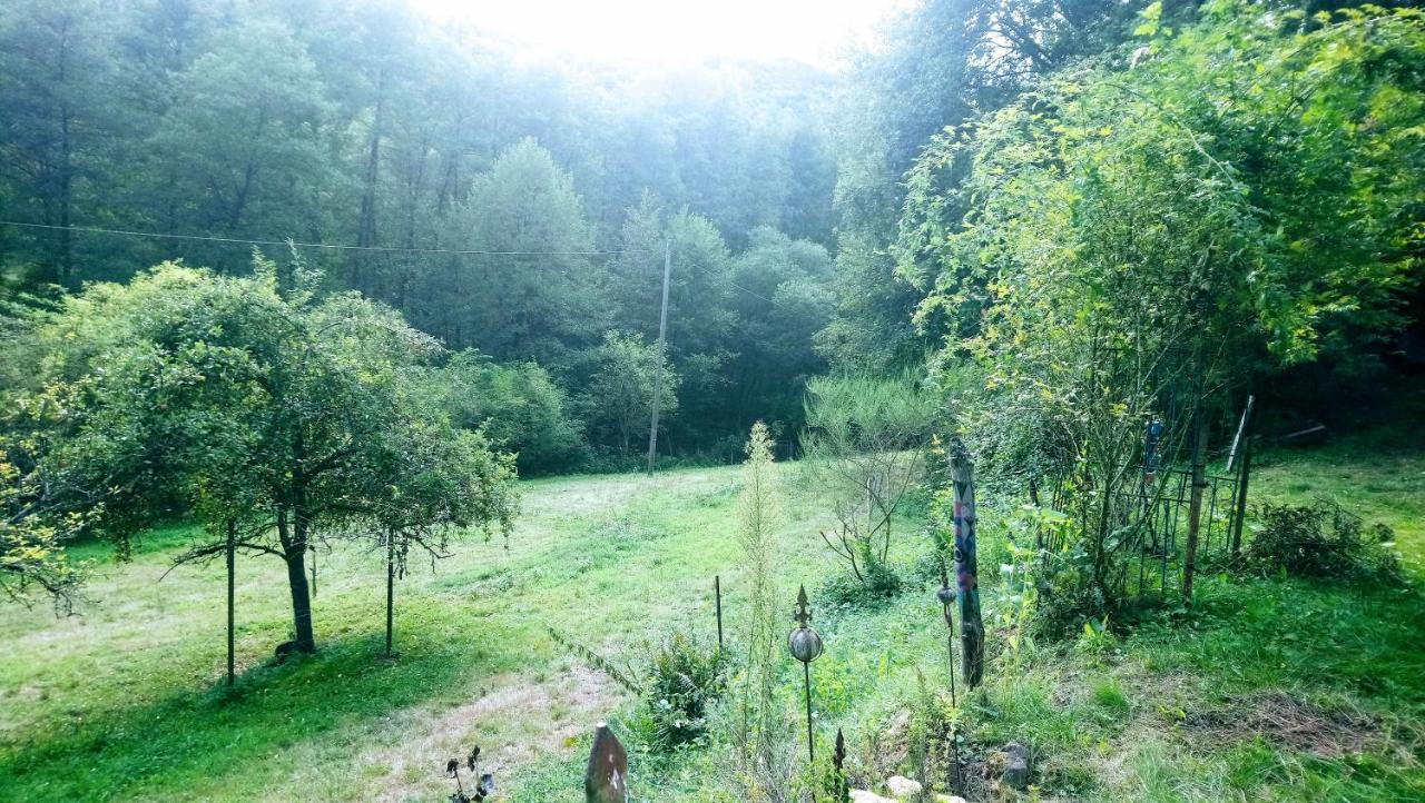 Bed and Breakfast Haus 3 Birken Ramberg Zewnętrze zdjęcie